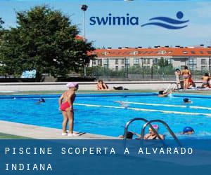 Piscine Scoperta a Alvarado (Indiana)