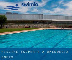 Piscine Scoperta a Amendeuix-Oneix