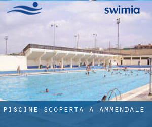 Piscine Scoperta a Ammendale