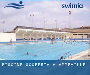 Piscine Scoperta a Ammeville