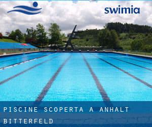 Piscine Scoperta a Anhalt-Bitterfeld