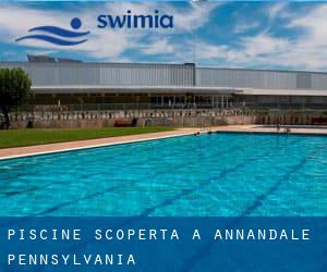 Piscine Scoperta a Annandale (Pennsylvania)