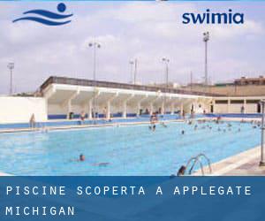 Piscine Scoperta a Applegate (Michigan)