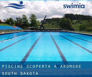 Piscine Scoperta a Ardmore (South Dakota)