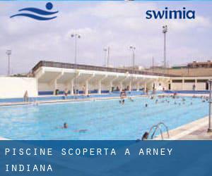 Piscine Scoperta a Arney (Indiana)