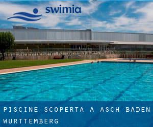 Piscine Scoperta a Asch (Baden-Württemberg)