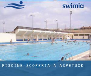 Piscine Scoperta a Aspetuck