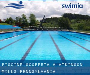 Piscine Scoperta a Atkinson Mills (Pennsylvania)