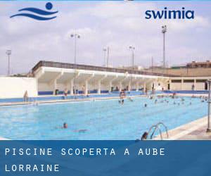 Piscine Scoperta a Aube (Lorraine)