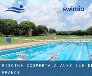 Piscine Scoperta a Auxy (Île-de-France)