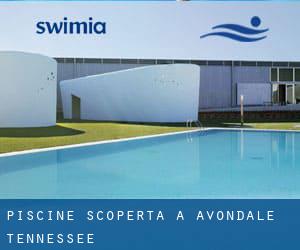 Piscine Scoperta a Avondale (Tennessee)