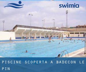 Piscine Scoperta a Badecon-le-Pin