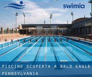 Piscine Scoperta a Bald Eagle (Pennsylvania)