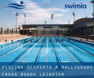 Piscine Scoperta a Ballygaddy Cross Roads (Leinster)