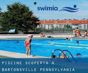 Piscine Scoperta a Bartonsville (Pennsylvania)