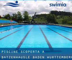 Piscine Scoperta a Batzenhäusle (Baden-Württemberg)