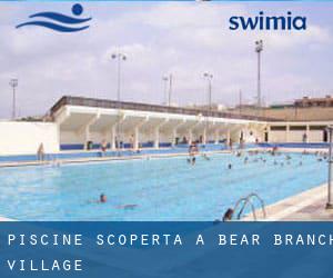 Piscine Scoperta a Bear Branch Village