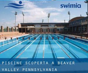 Piscine Scoperta a Beaver Valley (Pennsylvania)