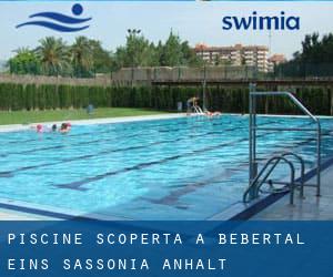 Piscine Scoperta a Bebertal Eins (Sassonia-Anhalt)