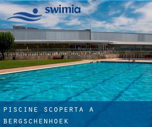 Piscine Scoperta a Bergschenhoek