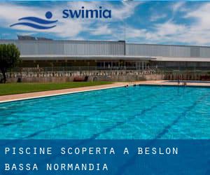 Piscine Scoperta a Beslon (Bassa Normandia)