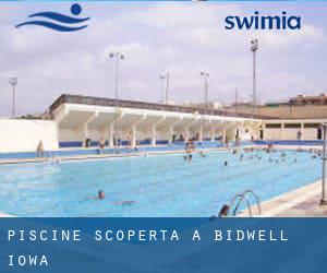 Piscine Scoperta a Bidwell (Iowa)