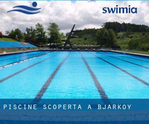 Piscine Scoperta a Bjarkøy