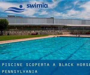 Piscine Scoperta a Black Horse (Pennsylvania)