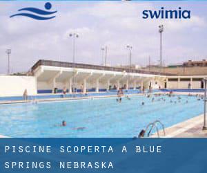 Piscine Scoperta a Blue Springs (Nebraska)