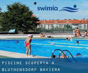 Piscine Scoperta a Blüthensdorf (Baviera)