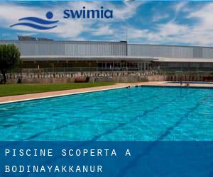 Piscine Scoperta a Bodinayakkanur