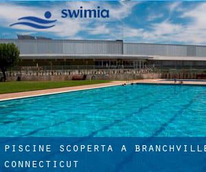 Piscine Scoperta a Branchville (Connecticut)