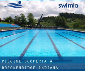 Piscine Scoperta a Breckenridge (Indiana)