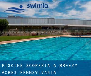 Piscine Scoperta a Breezy Acres (Pennsylvania)