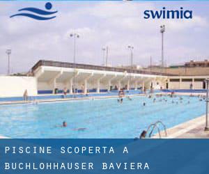 Piscine Scoperta a Buchlohhäuser (Baviera)