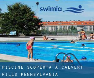 Piscine Scoperta a Calvert Hills (Pennsylvania)