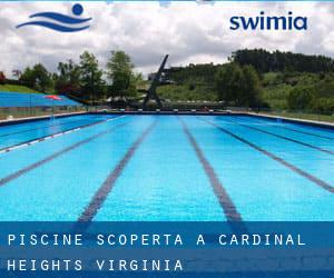 Piscine Scoperta a Cardinal Heights (Virginia)