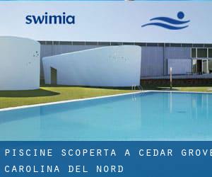 Piscine Scoperta a Cedar Grove (Carolina del Nord)