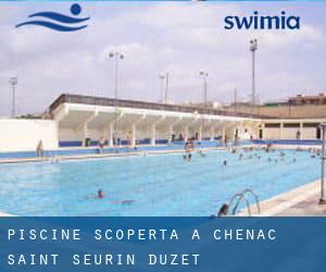 Piscine Scoperta a Chenac-Saint-Seurin-d'Uzet