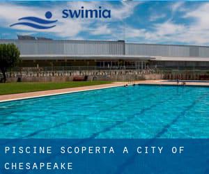 Piscine Scoperta a City of Chesapeake