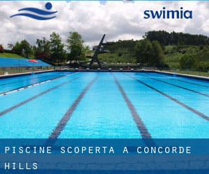 Piscine Scoperta a Concorde Hills