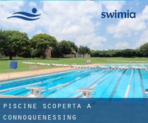 Piscine Scoperta a Connoquenessing