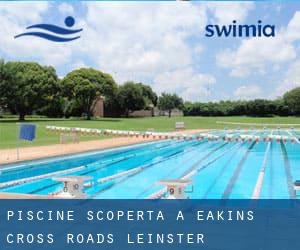 Piscine Scoperta a Eakin's Cross Roads (Leinster)