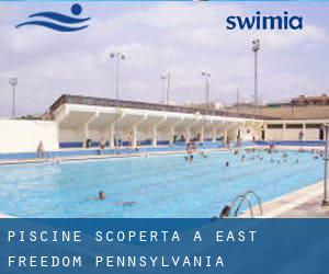 Piscine Scoperta a East Freedom (Pennsylvania)