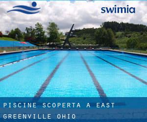 Piscine Scoperta a East Greenville (Ohio)