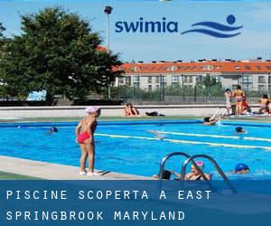 Piscine Scoperta a East Springbrook (Maryland)