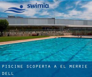 Piscine Scoperta a El Merrie Dell