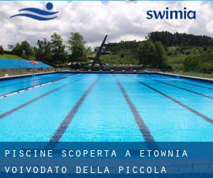 Piscine Scoperta a Łętownia (Voivodato della Piccola Polonia)