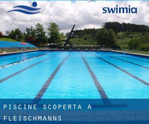 Piscine Scoperta a Fleischmanns