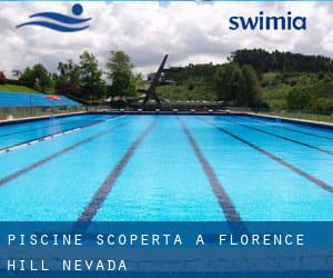 Piscine Scoperta a Florence Hill (Nevada)